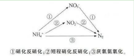 一文了解高低浓度氨氮废水治理