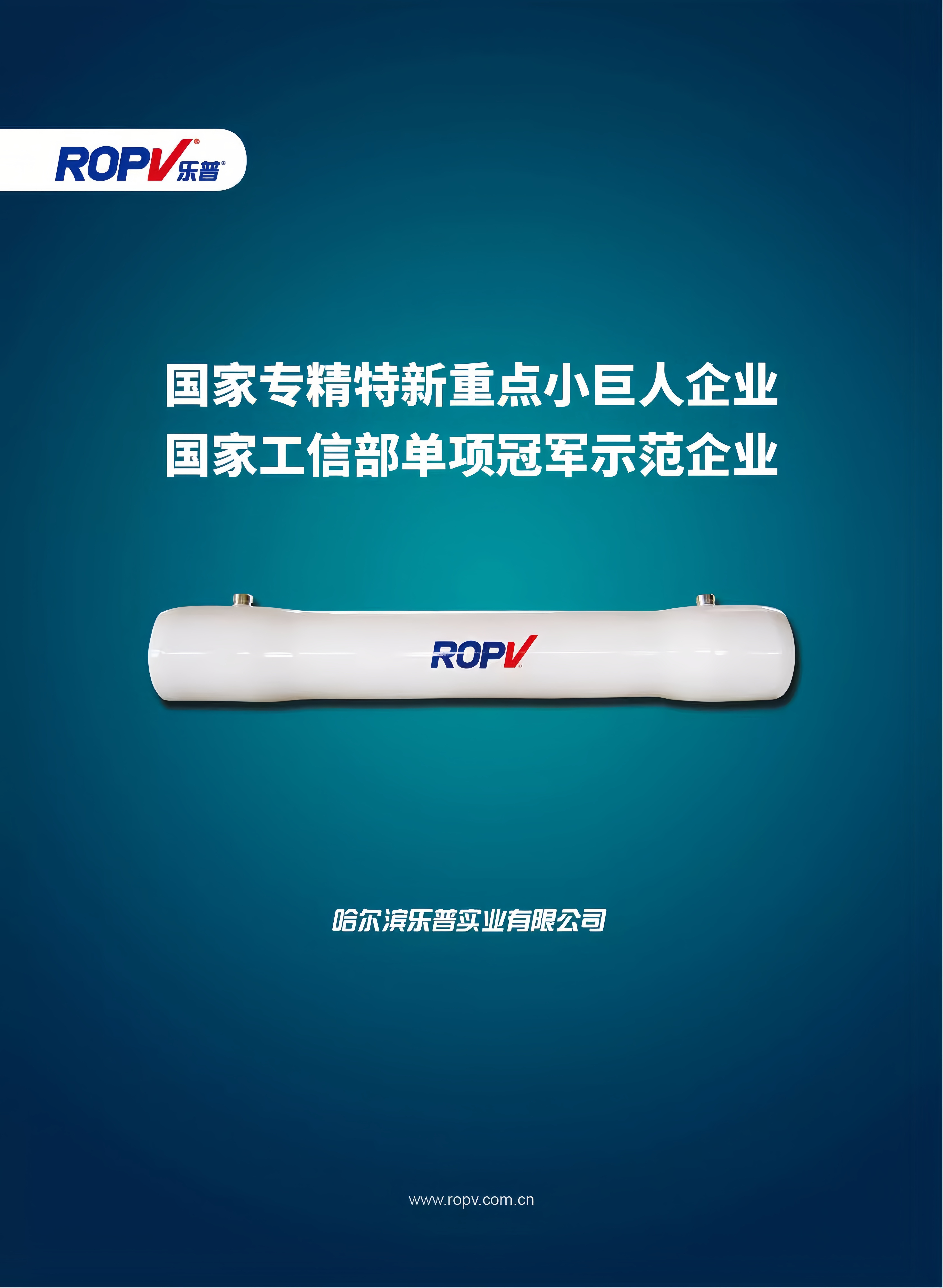 乐普玻璃钢膜壳8寸RO反渗透膜壳1芯-7芯通用膜壳